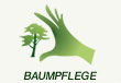 Baumpflege