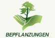 Bepflanzungen